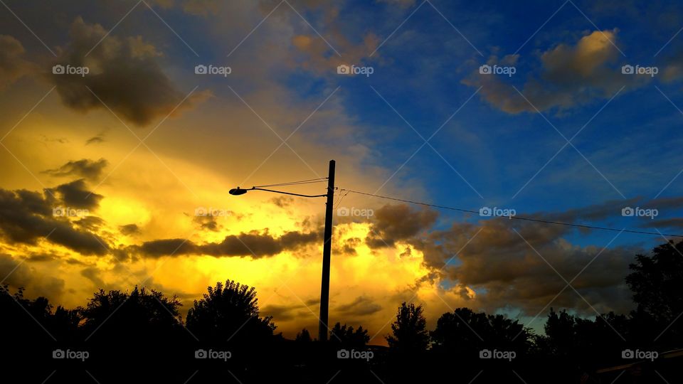 sunset trees silhouette lamp post