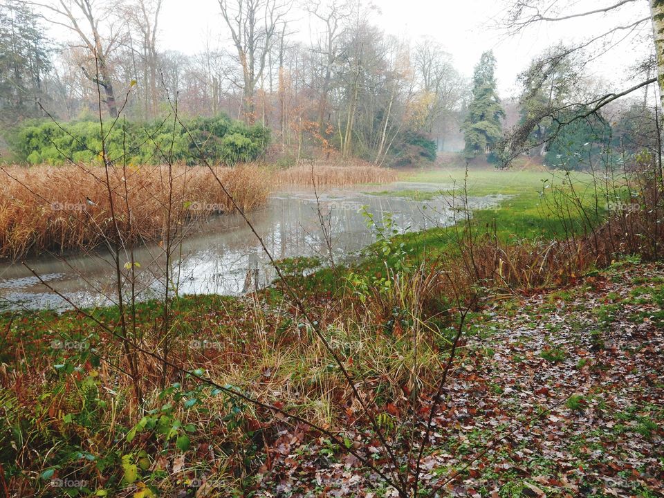 Autumn colors in a park in Antwerp, Belgium.
