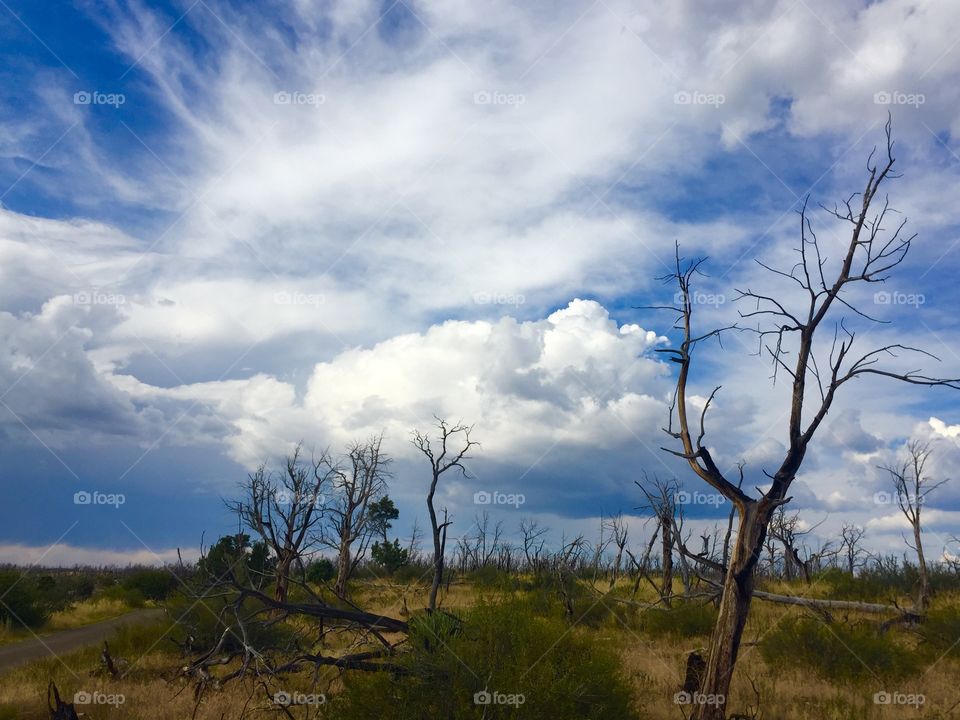 Magic of Mesa verde