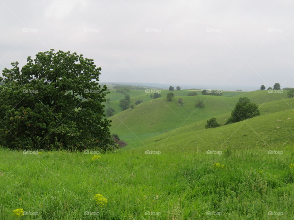 Green desert ideal place for hiking