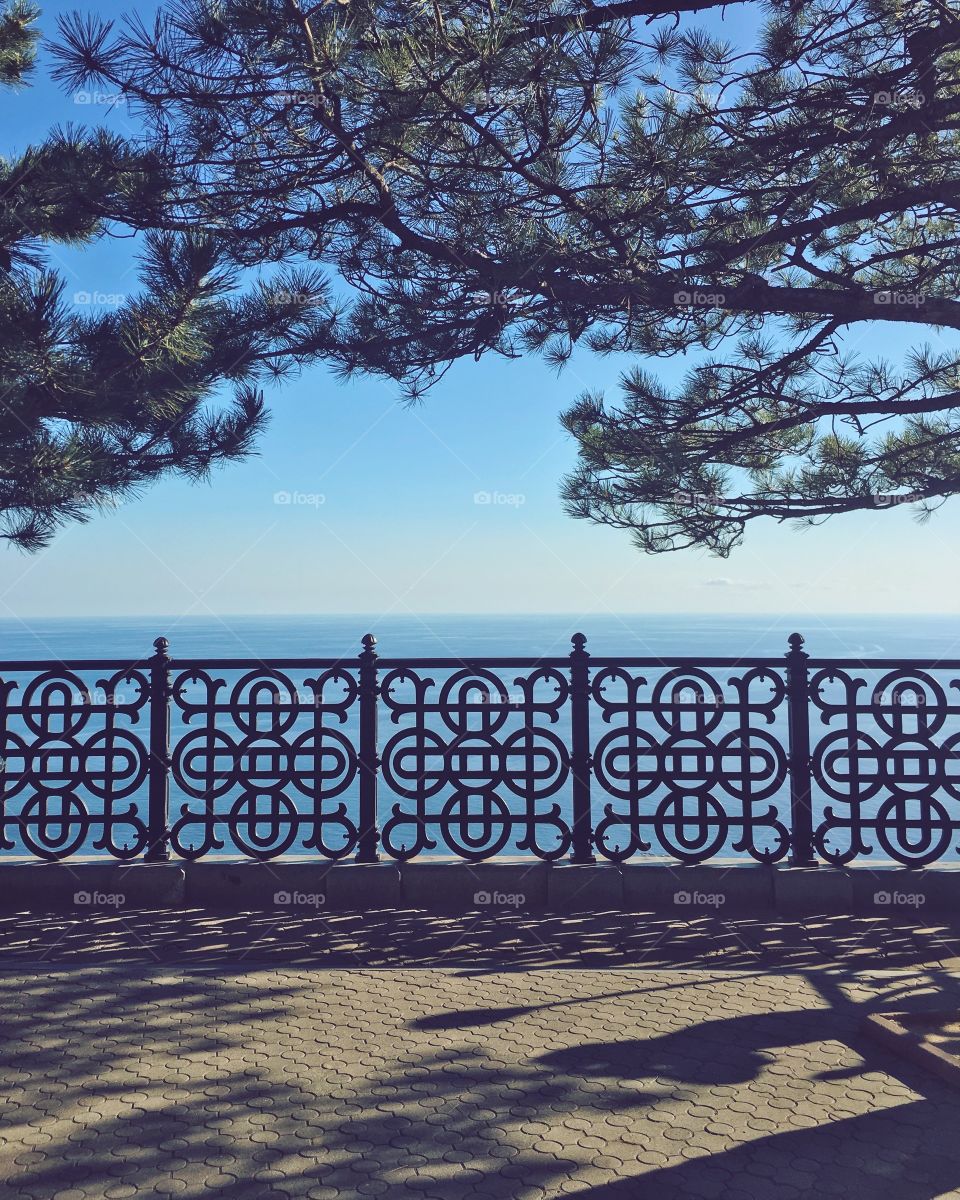 View at the sea from the park 