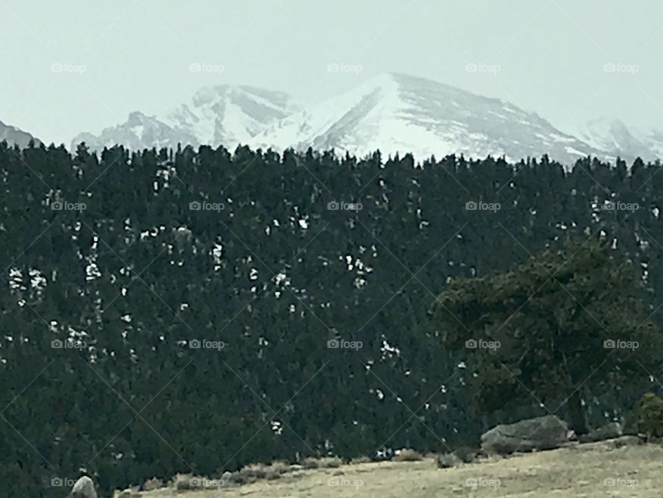 Snow capped mountains 