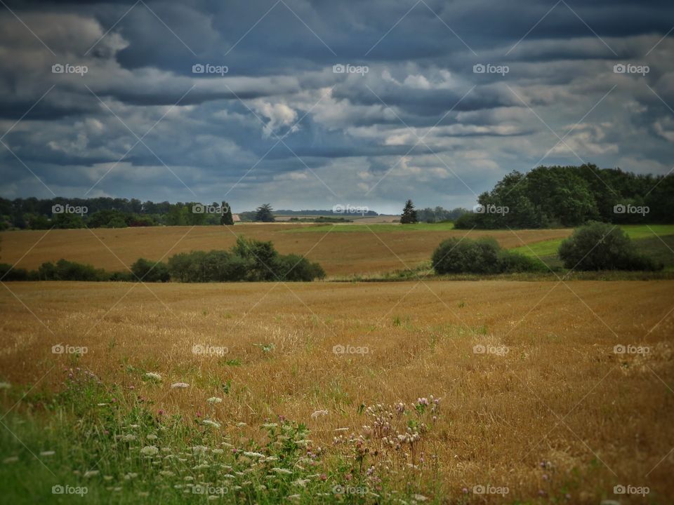 field farm landscape
