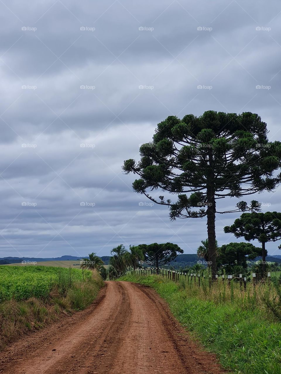 Road tô camp