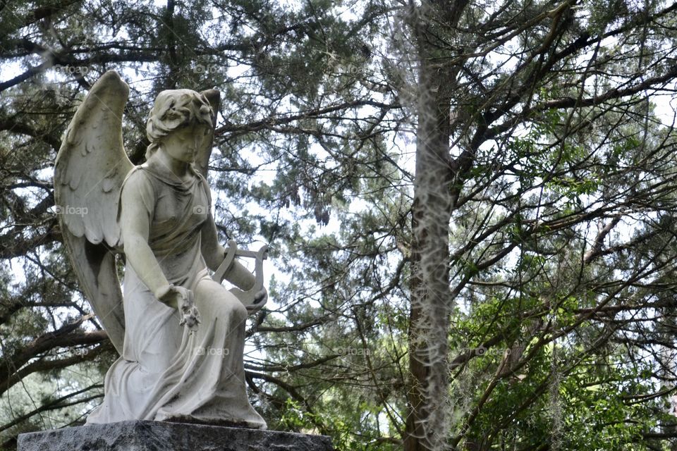 An aged angel statue with pine trees in the background 