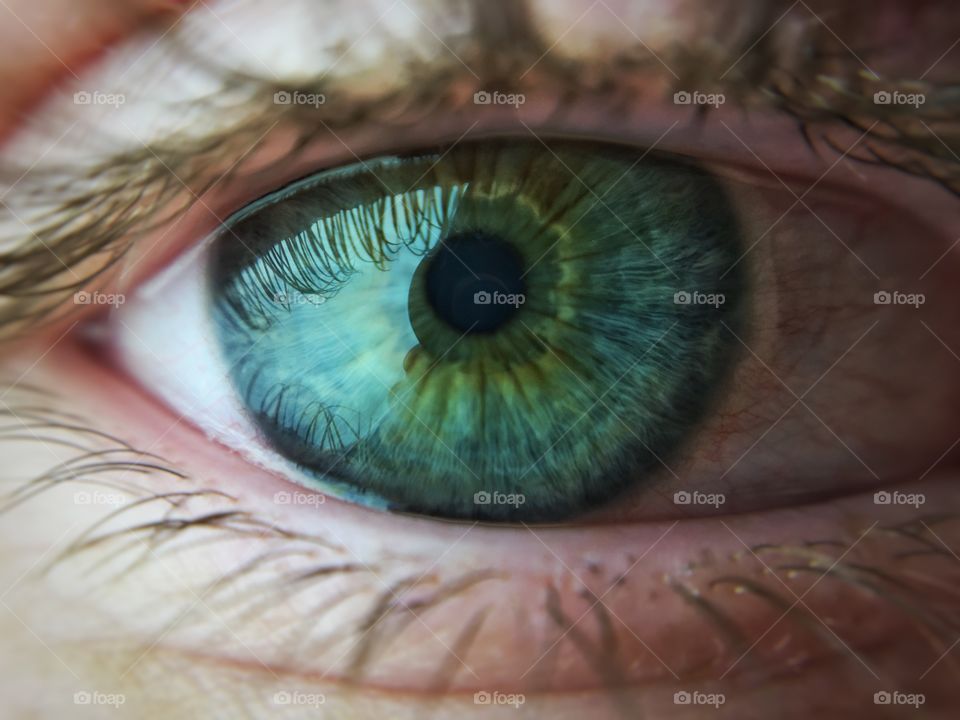 Macro shot of green eyes