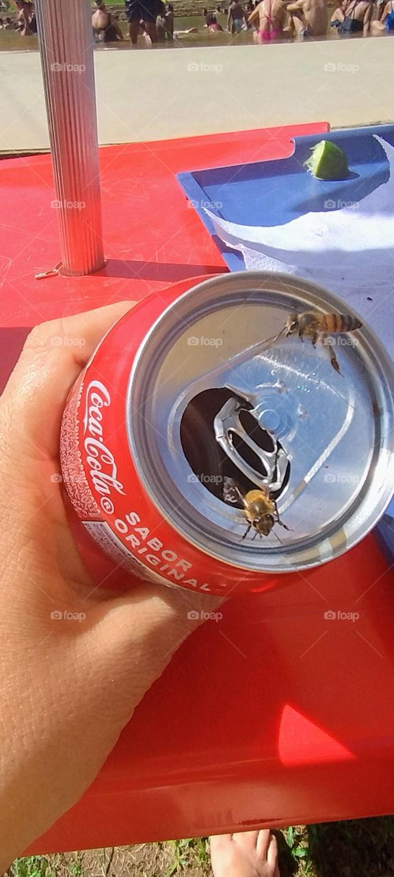 bee in coca cola
