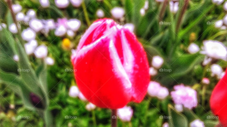 Beautiful macro shots