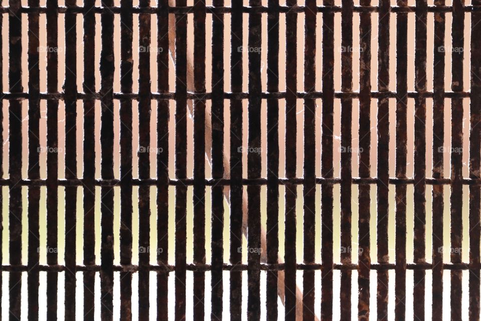 Metal door screen repetition, pattern and texture closeup 