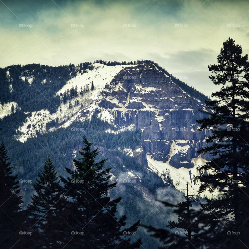 Table mountain . Table mountain in the Columbia River Gorge, WA (as seen from OR). Perfect day for a hike 