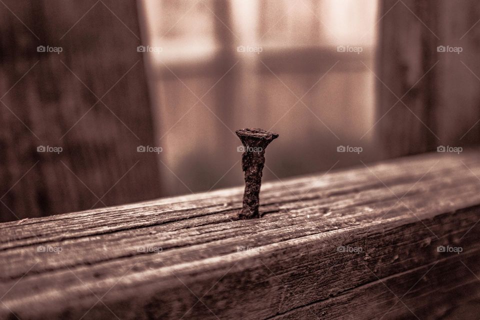 rusty screw sticking out of a board on an old fence
