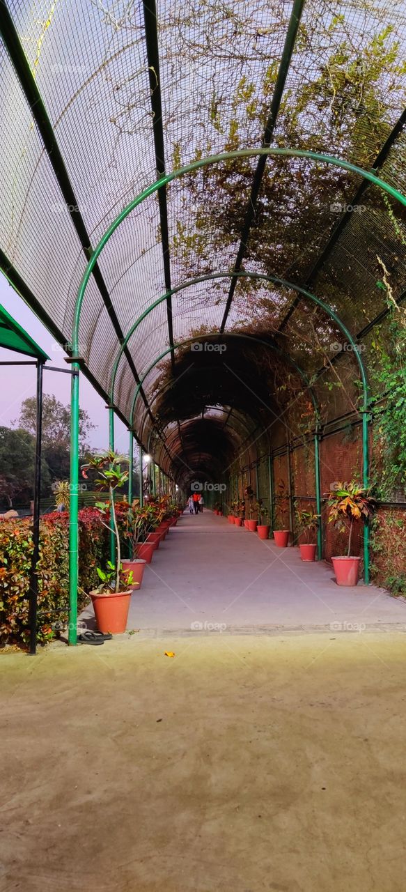 sneh botanical garden, surat