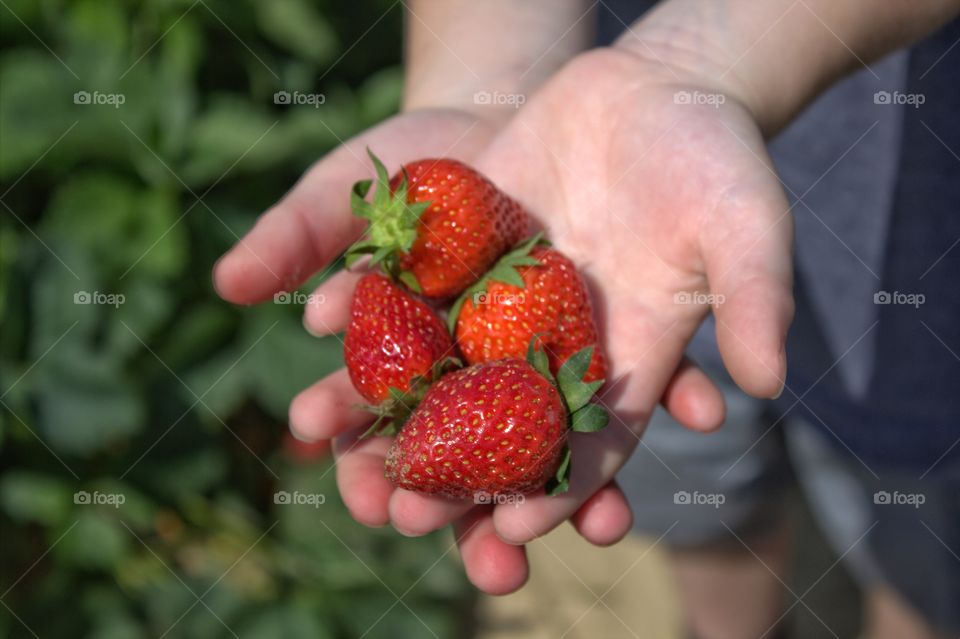 berries