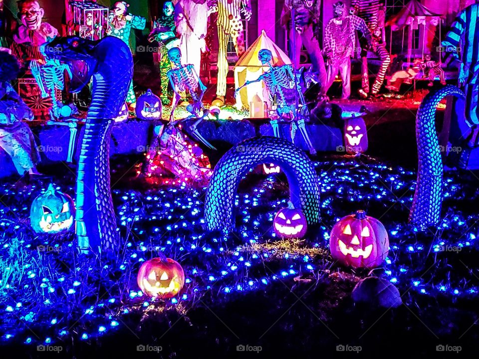 Halloween outdoor decorations - A cobra, pumpkins and skeletons!