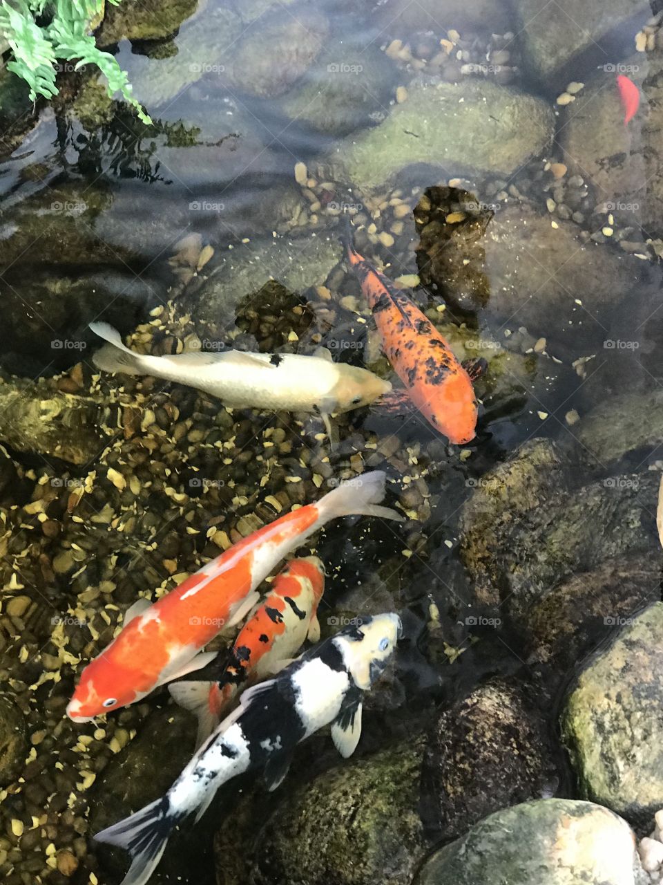 Small shop on the way to Rio city in Brazil 