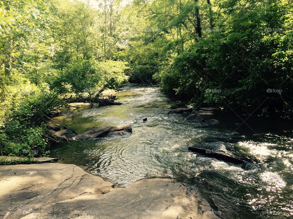 A creek in Georgia just outside the city of Atlanta with glowing water a rocks as well as trees making it very peaceful.