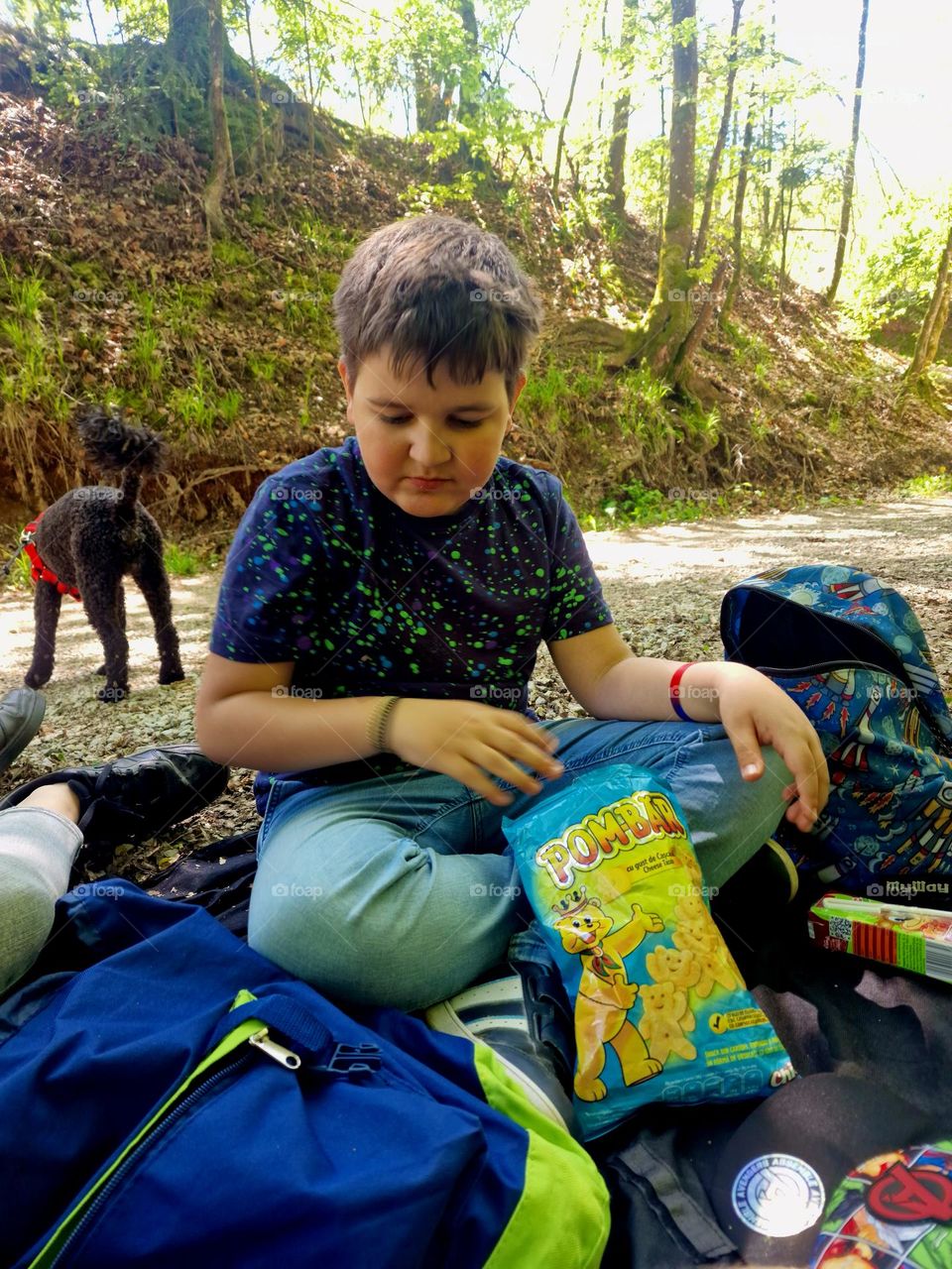 picnic in the forest