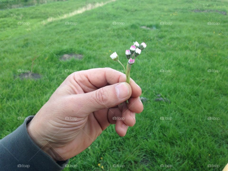 Little bouquet of field flowers in the big mans fingers 