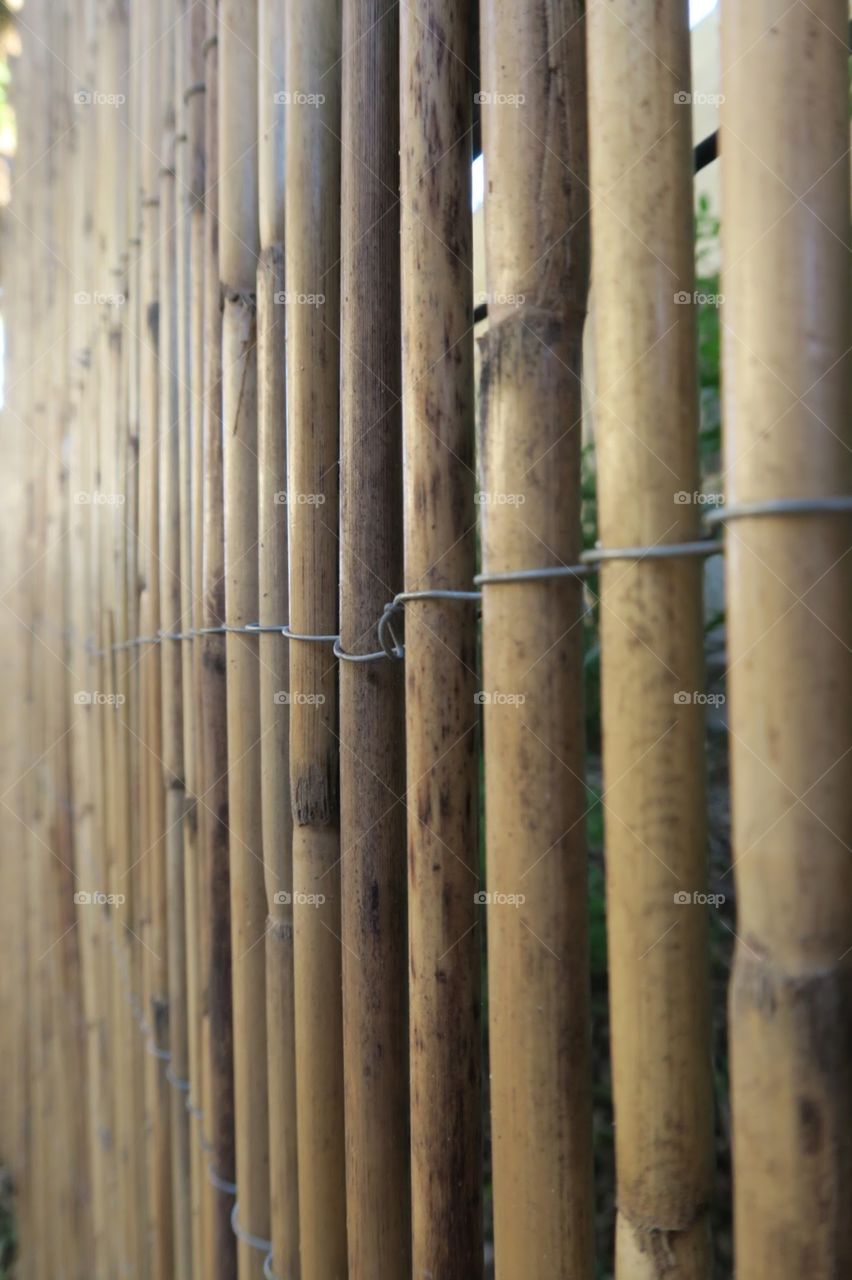 Bamboo Fence