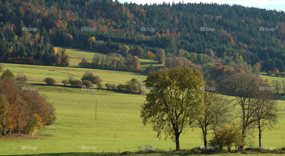 Promenade dans le Val de Morteau
