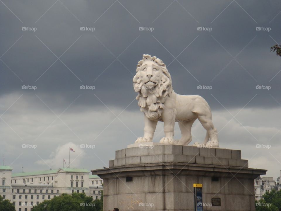 Lion in London