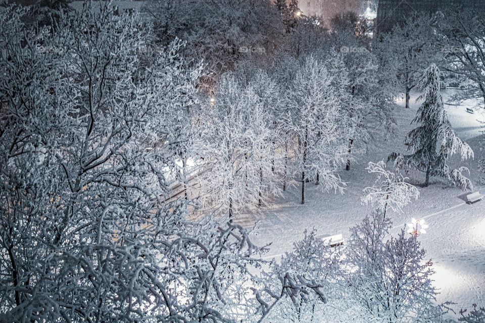 Snow in the park during the night, window view