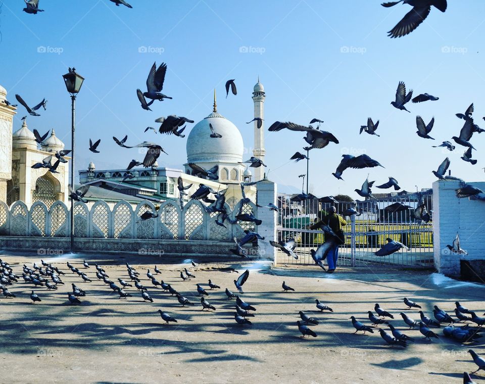 Dargah harzetbal Srinagar