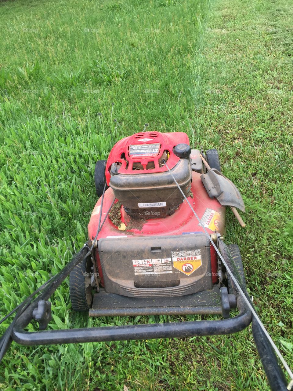 Time to cut the grass