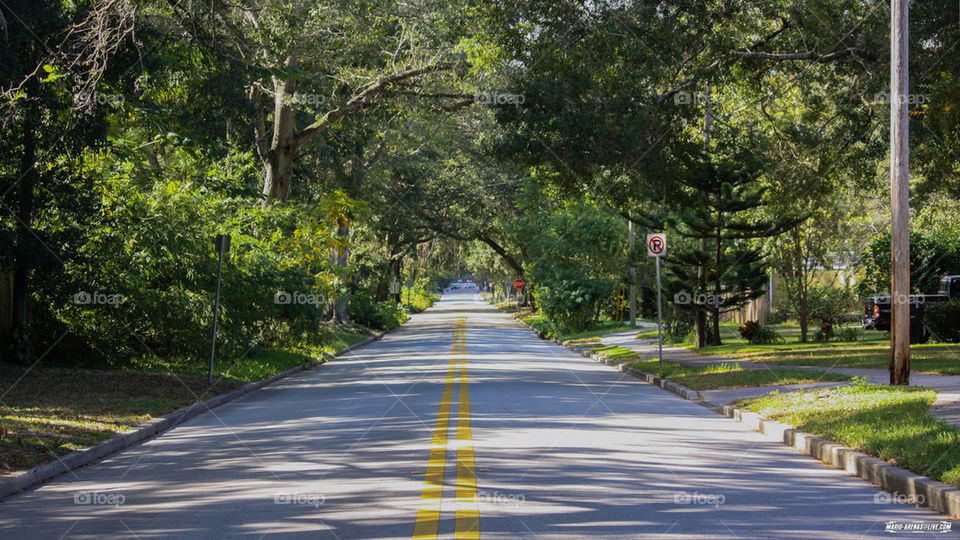 Empty Street