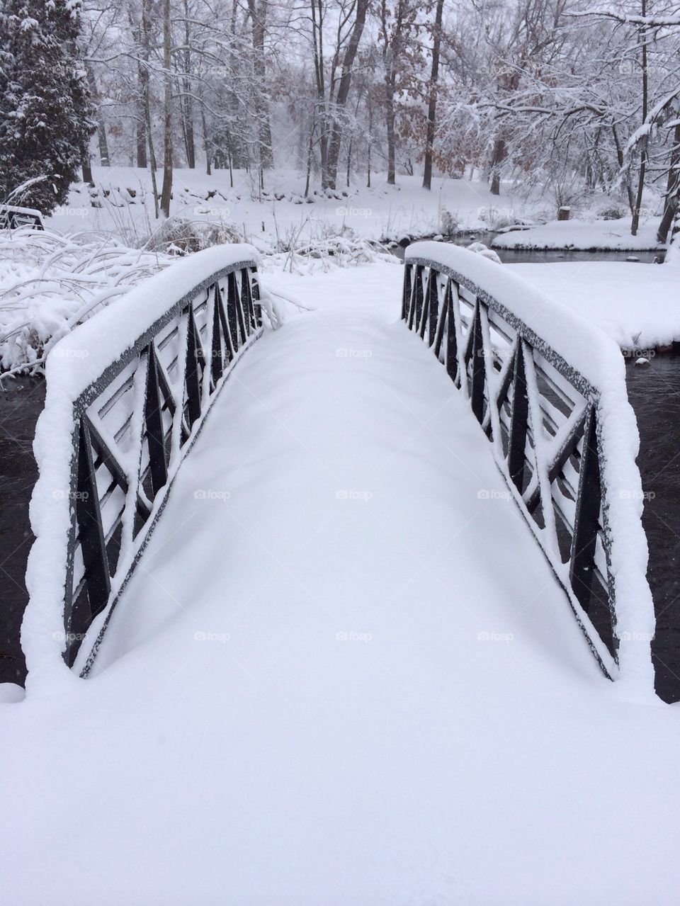 Bridge to Winter Splendor 