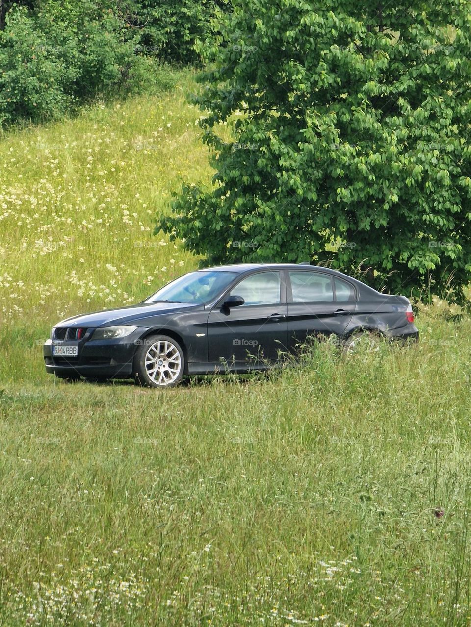 road in nature