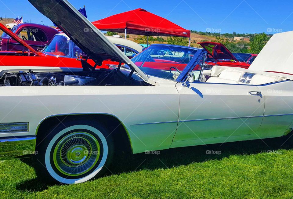 BIGGEST LITTLE CITY IN THE WORLD