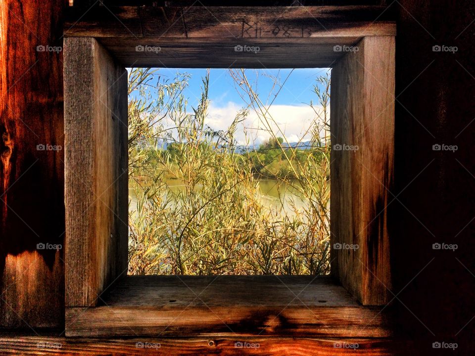 Duck Blind