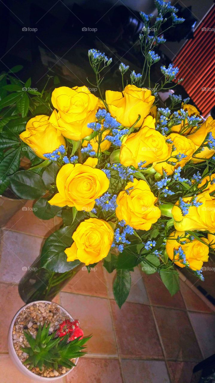 Yellow and blue floral combo