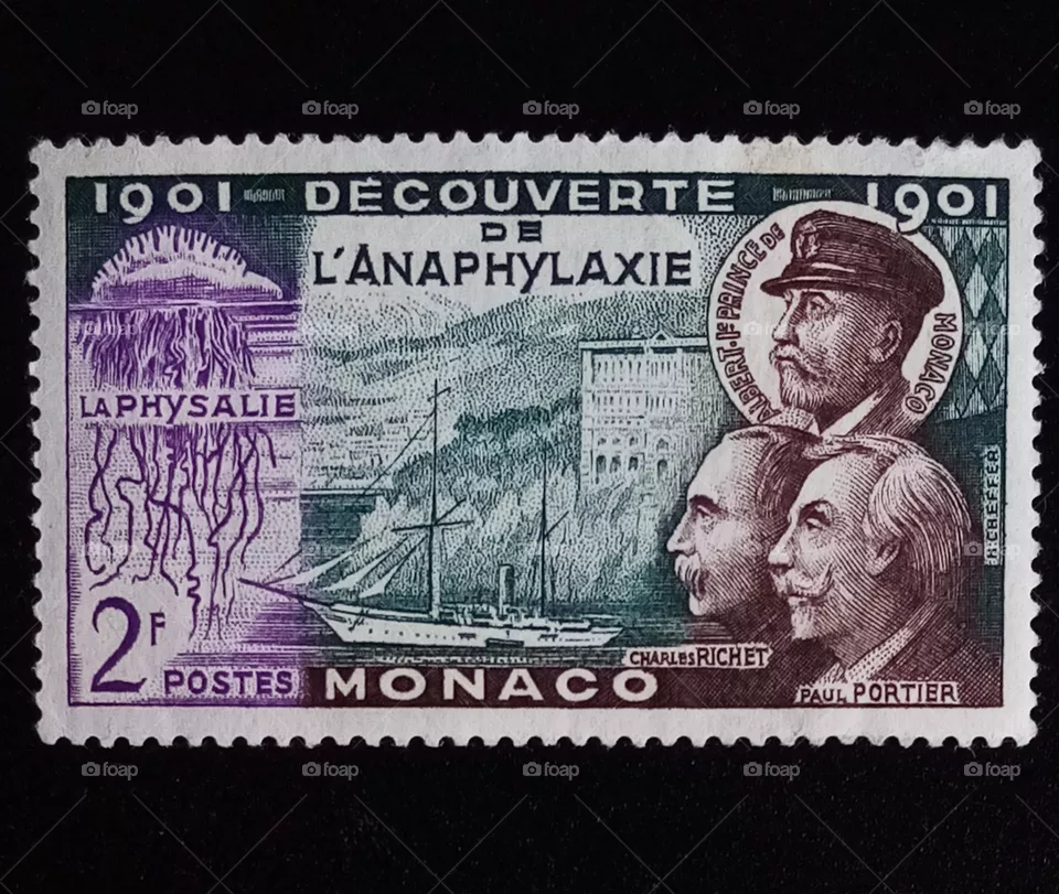 Alte Briefmarke Monaco 1901