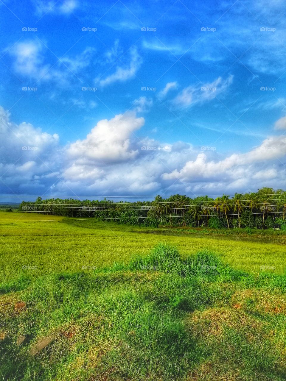 From Gods on country