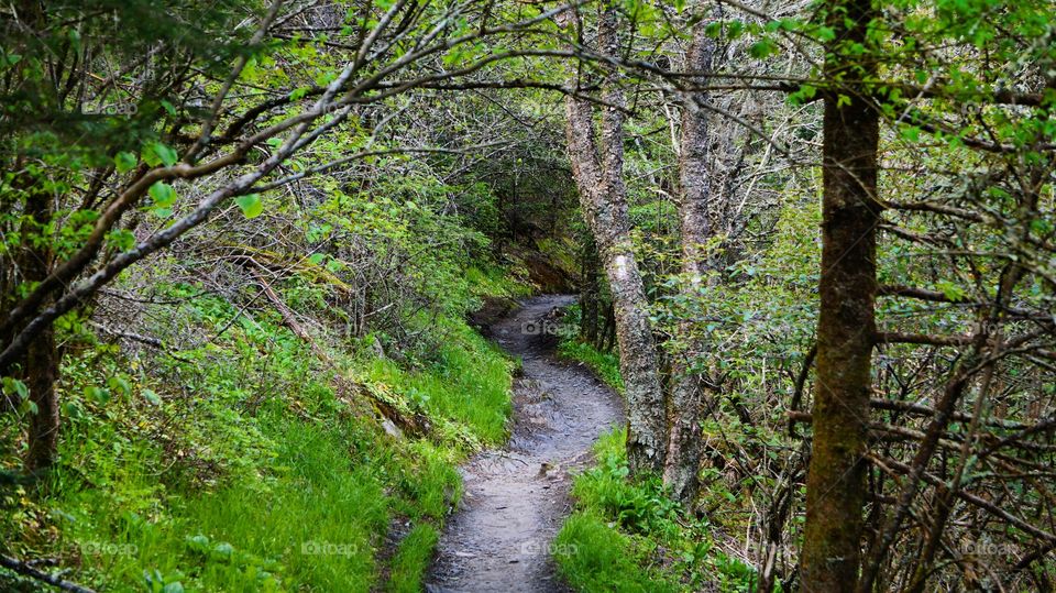 Appalachian trail 