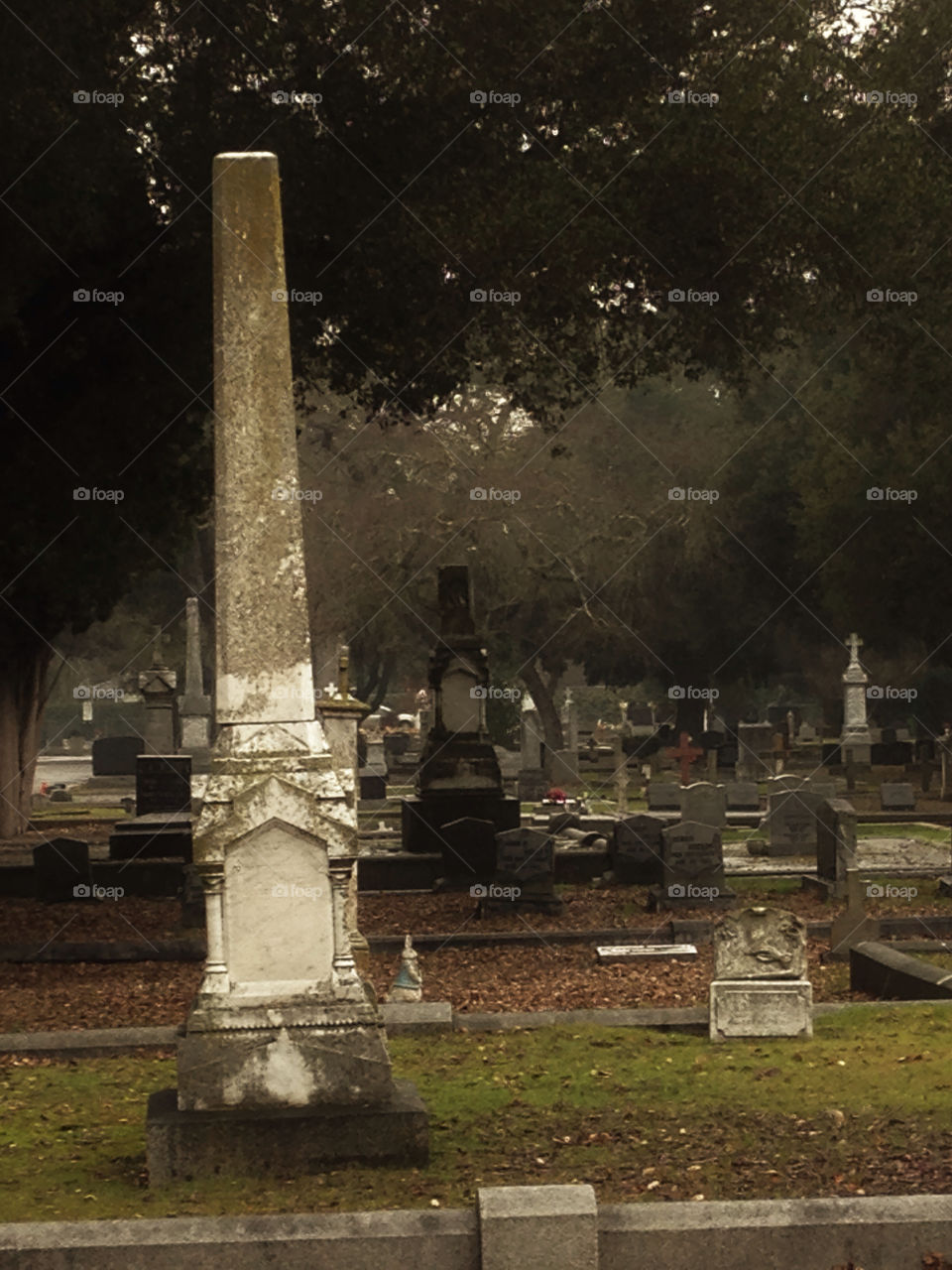 moody atmospheric misty cemetery graveyard