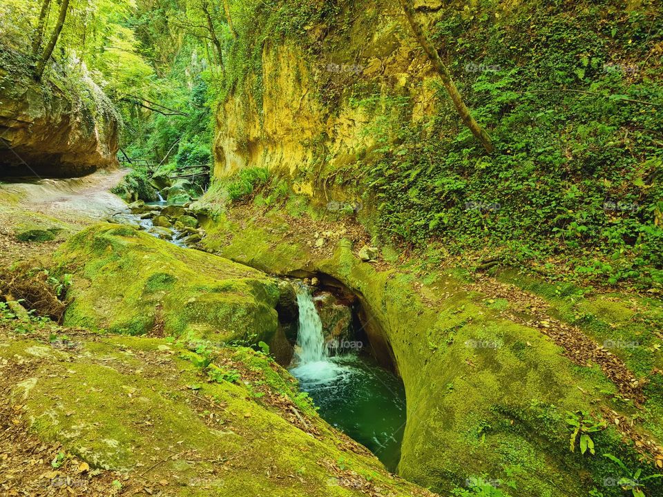 forest inside the sources of the river Alento (Abruzzo, Italy)