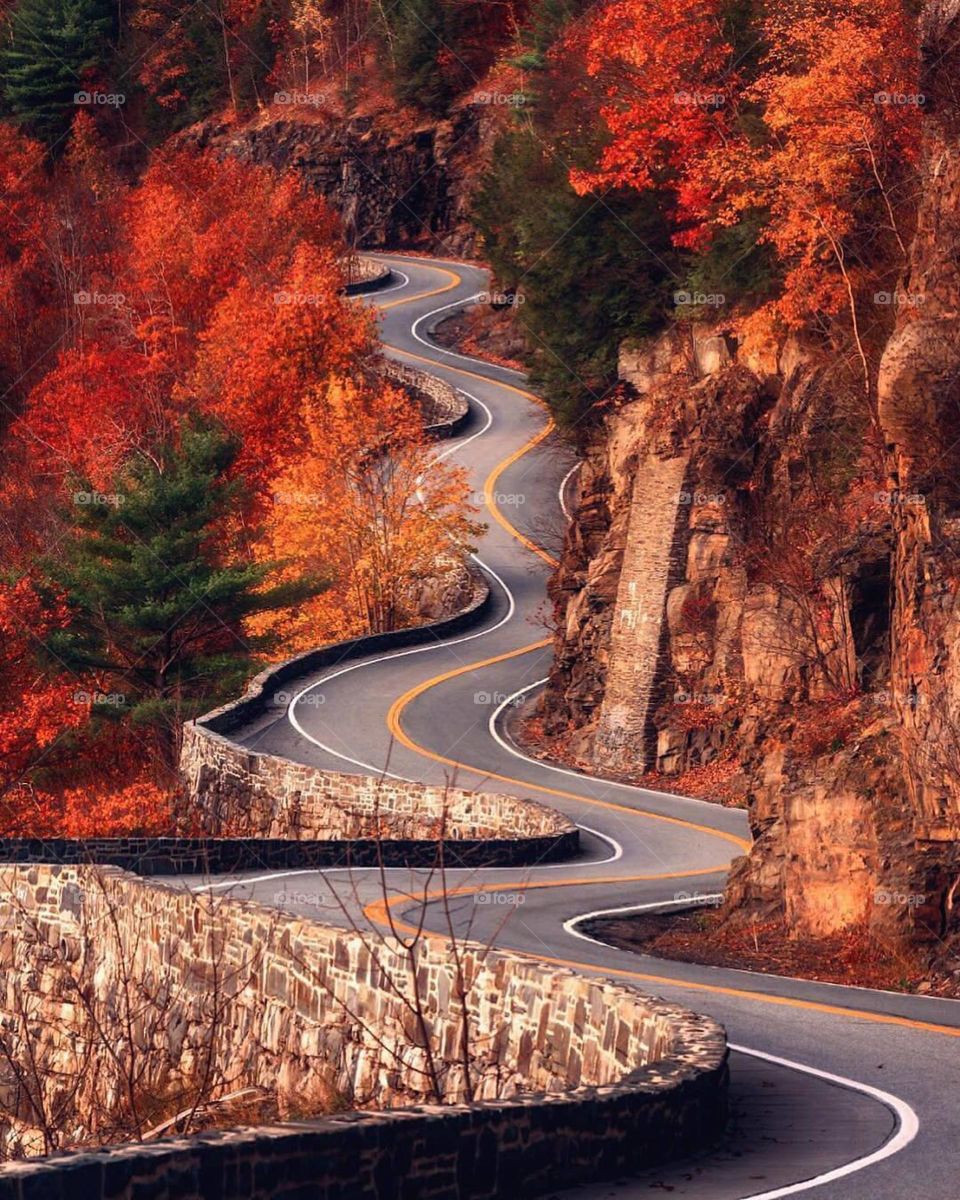 Autumn colours and winding roads, a recipe for an insta banger 🍂 🔥
