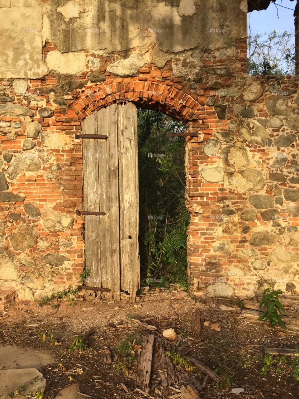 Plantation ruins, Vieques, PR