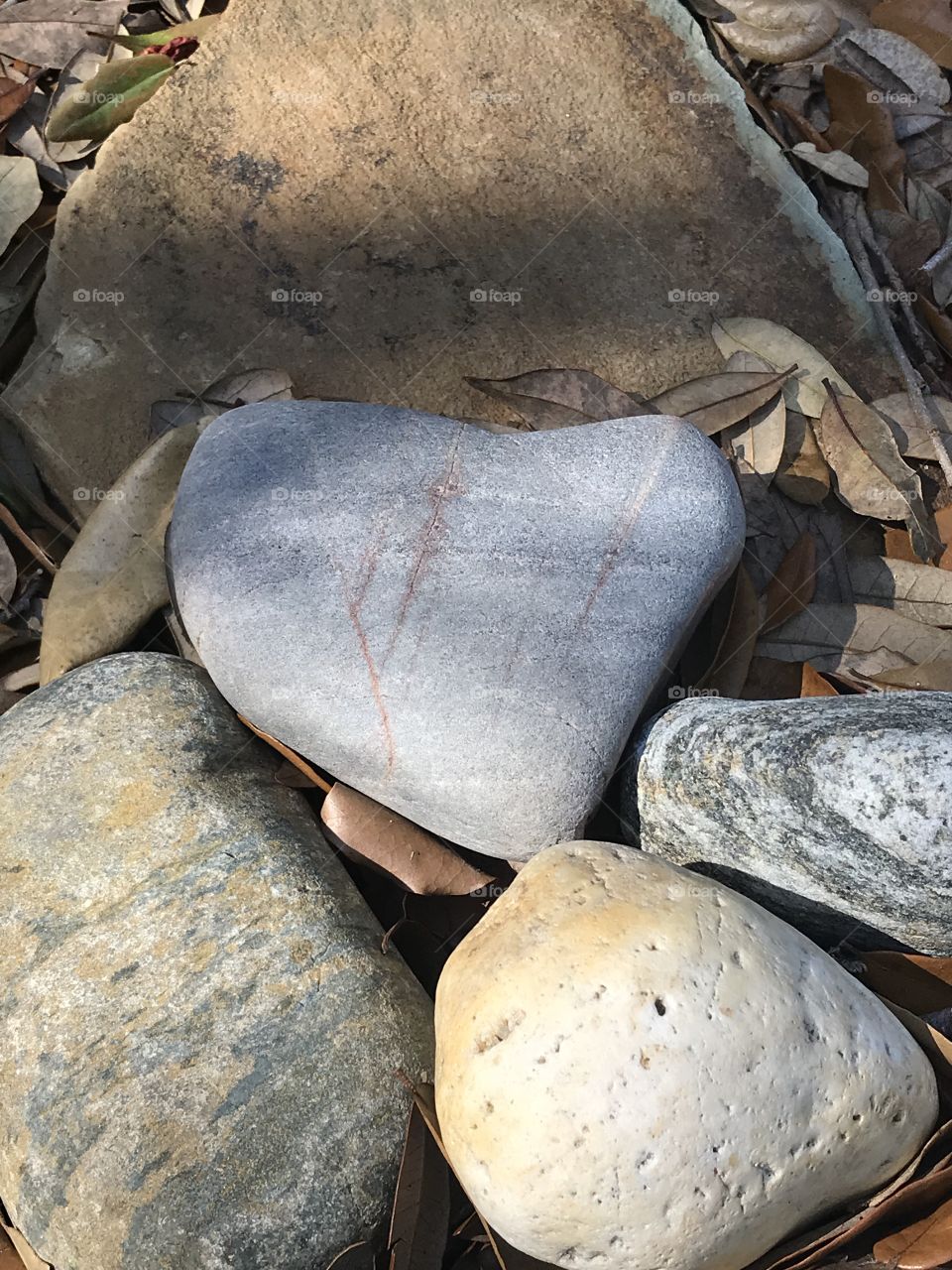 Natural heart shaped rock