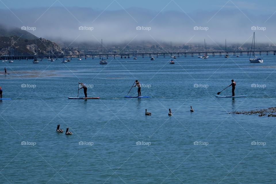 Summer Seascape