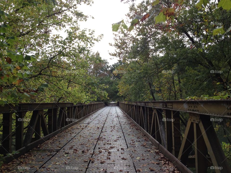 Autumn Bridge . Bridge 