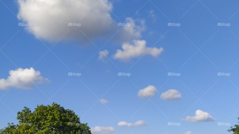 The cottons in the sky