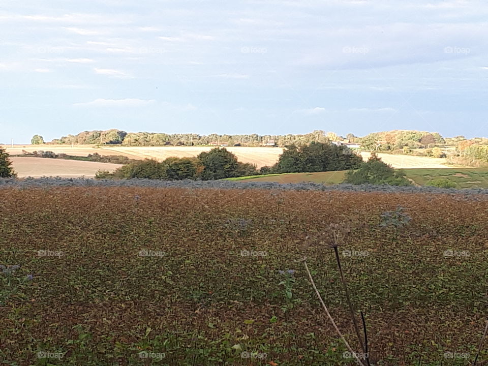 Landscape, No Person, Sky, Travel, Cropland