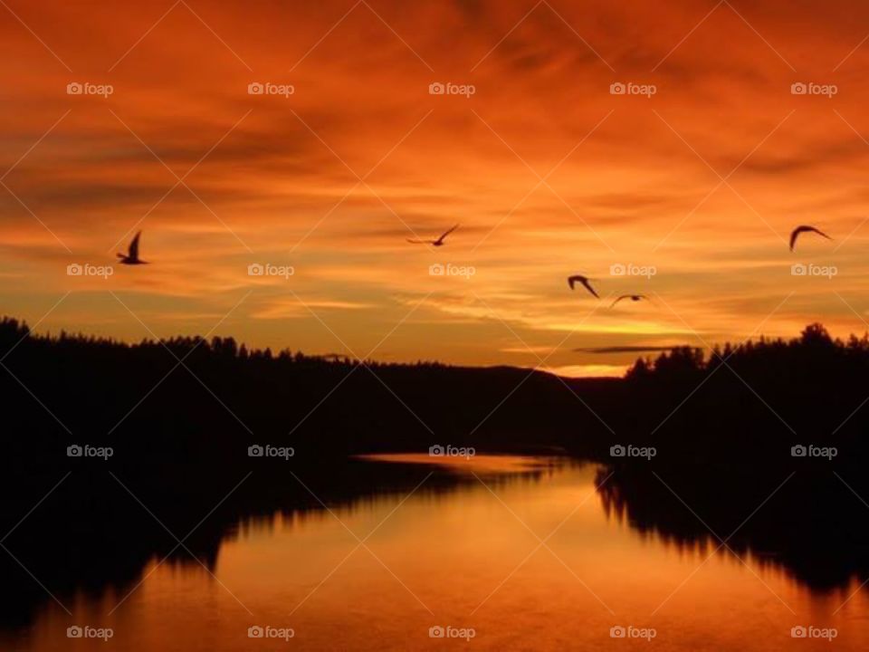 Monochrome orange sunset