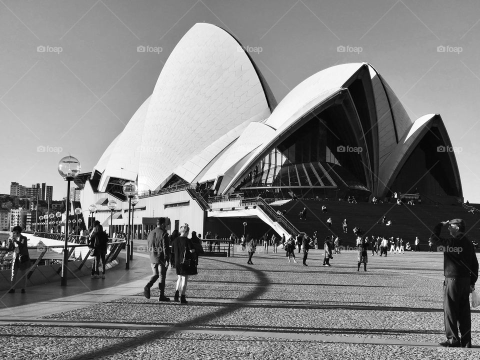 OPERA house 