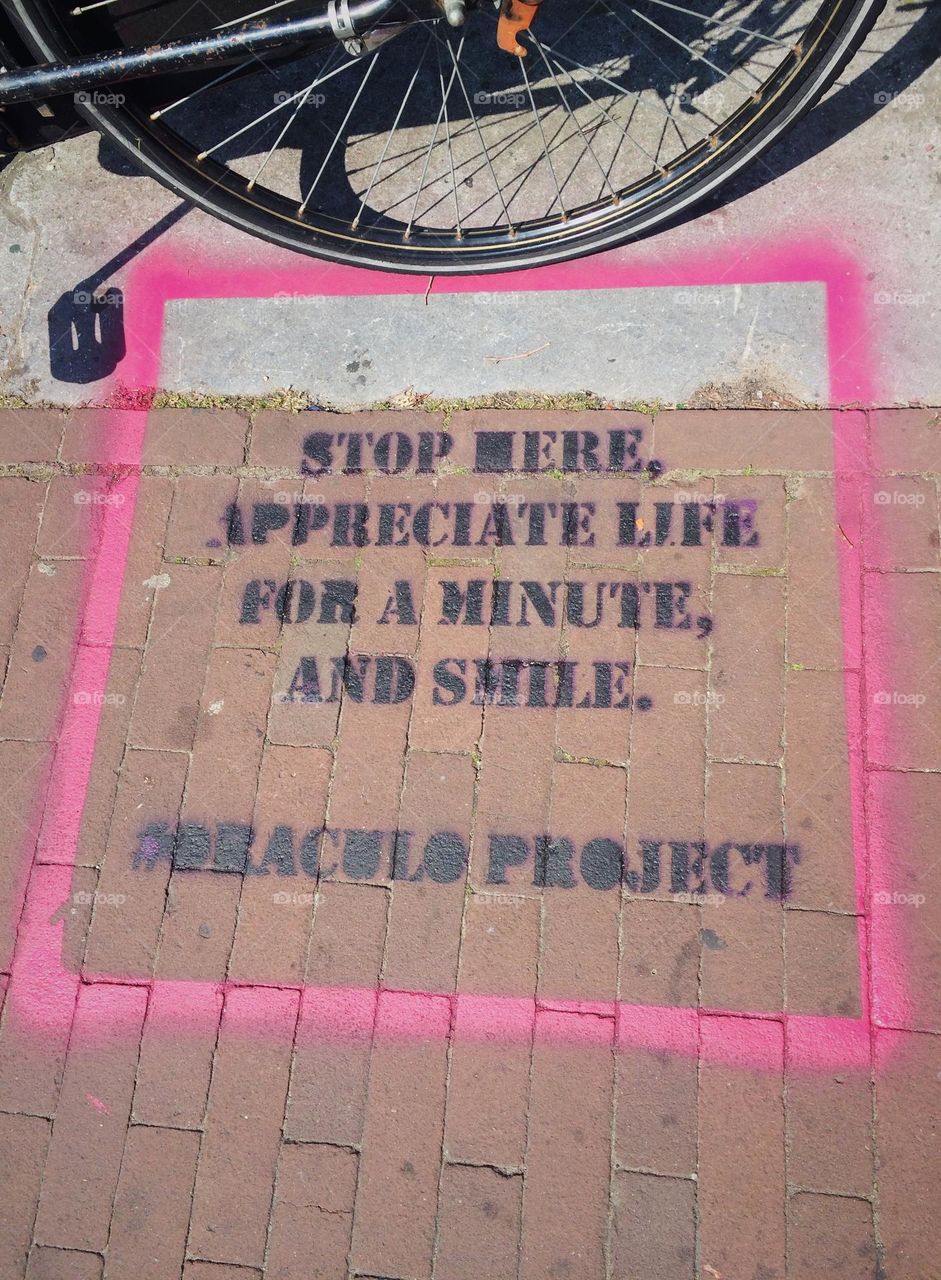 Stop here, appreciate life for a minute, and smile. 