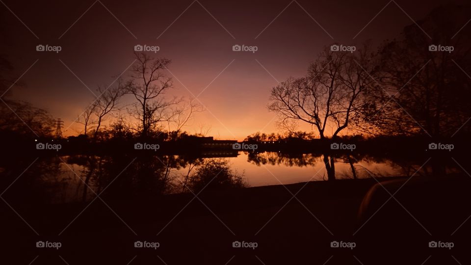 Backlit glow from Sundown. Silhouetted by trees landscape copper glow to mirror image on Lake waters. 